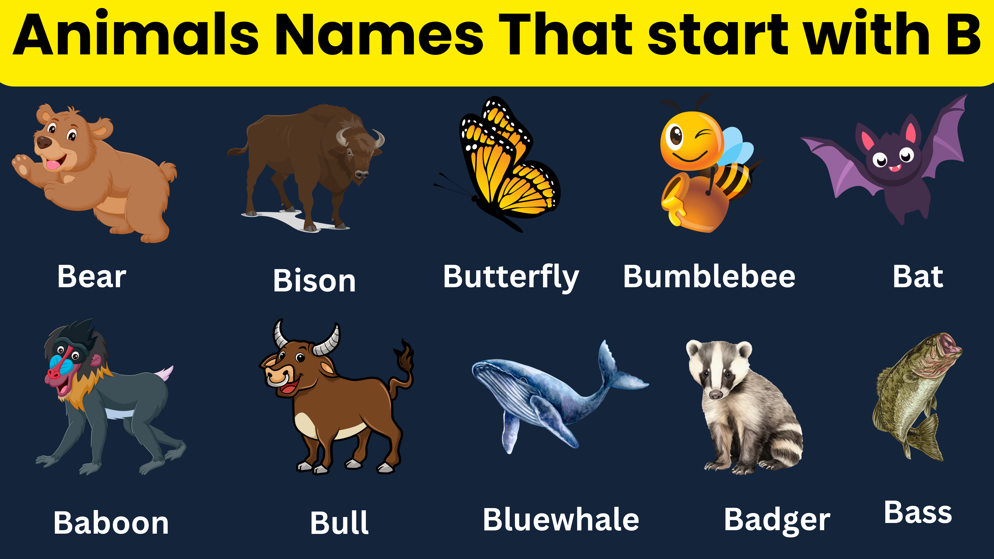 Animal name that begining with b
