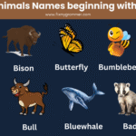 Animals that start with b