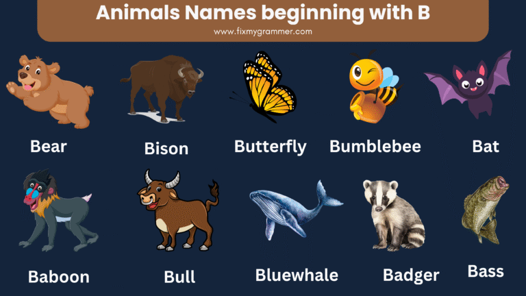 Animals that start with b
