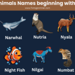 Animals name that start with n