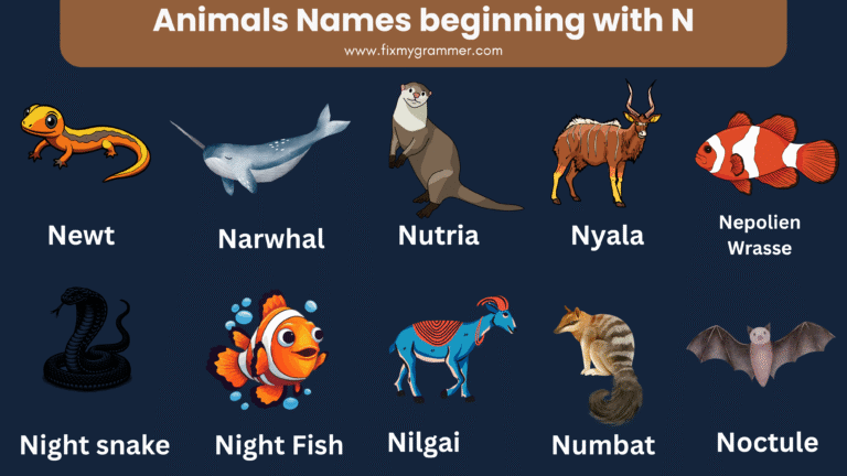 Animals name that start with n